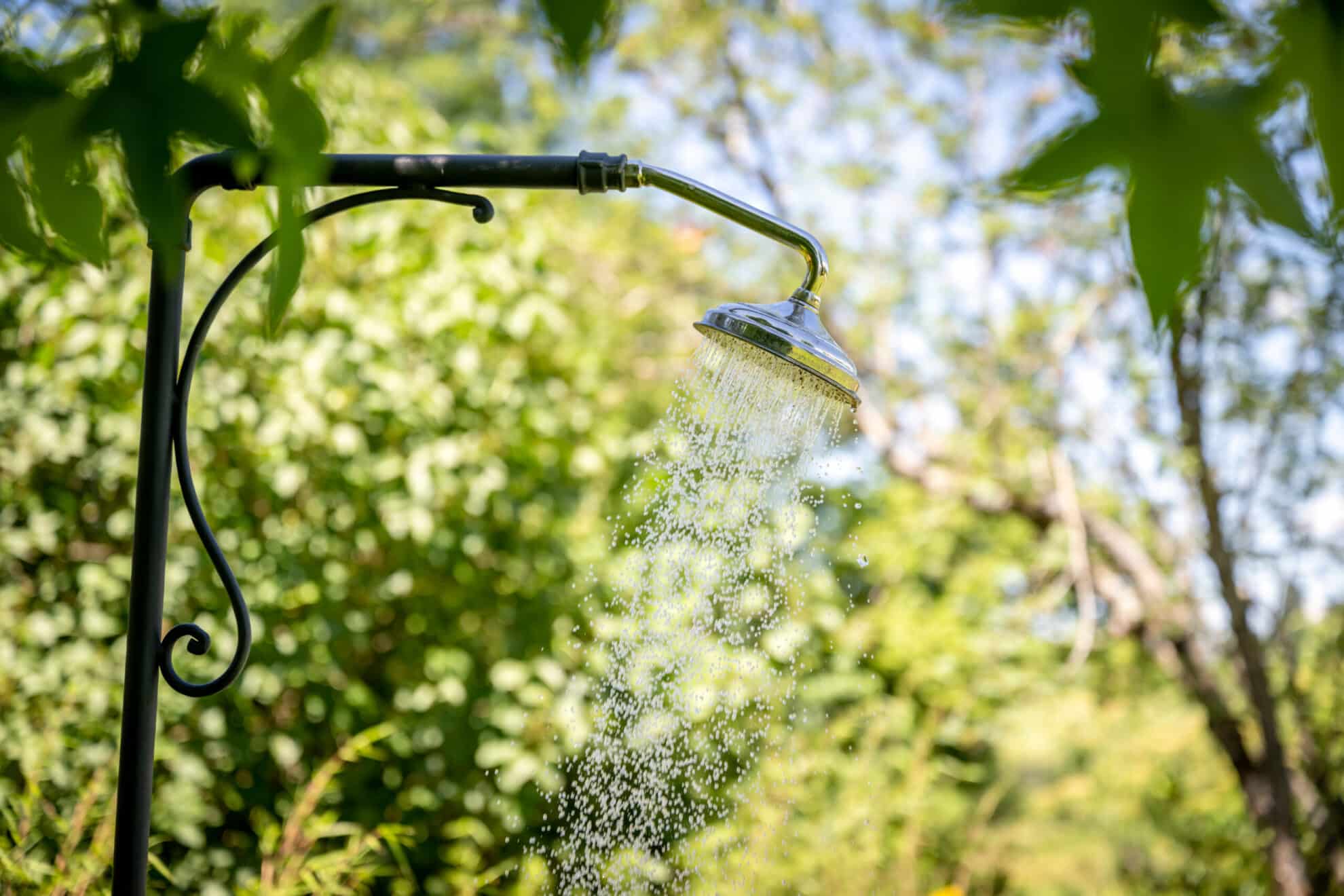 web_talgut_0622-7076